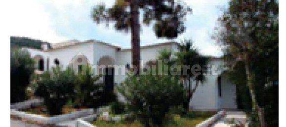 3 غرف نوم شقة في Peschici, Italy رقم 307992 5