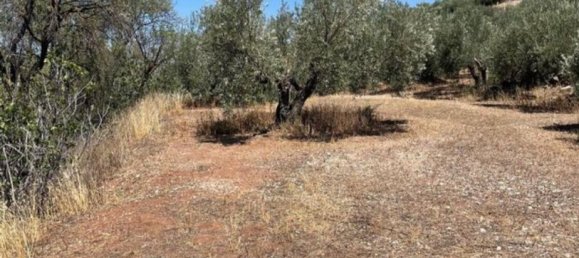 700m² Land in Granada, Spain No. 186766 4