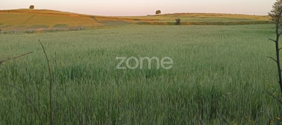 Terrain à Campo Maior, Portugal No. 86892 2
