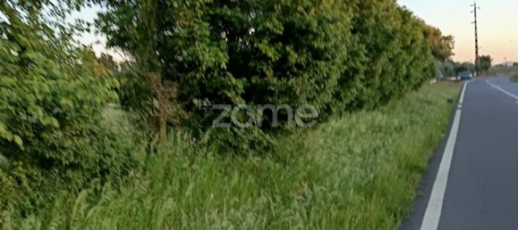 Terrain à Campo Maior, Portugal No. 86892 15