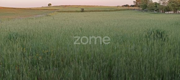 Terrain à Campo Maior, Portugal No. 86892 20