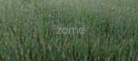 Terrain à Campo Maior, Portugal No. 86892 17