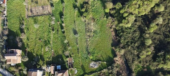 3 bedrooms House in Tondela, Portugal No. 173808 11