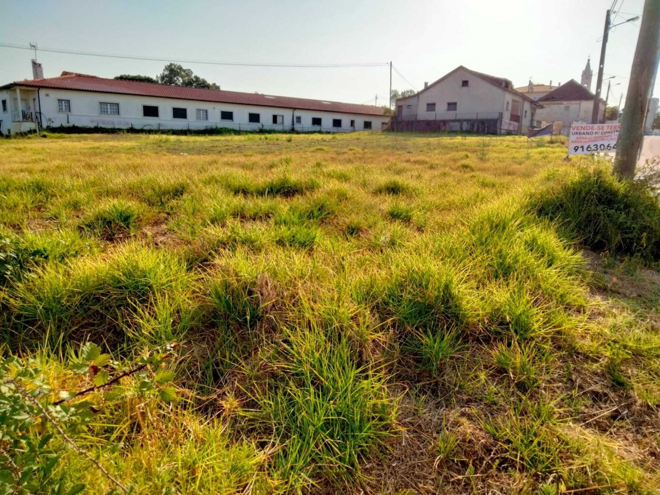 Grundstück in Pombal, Portugal, Nr. 286095