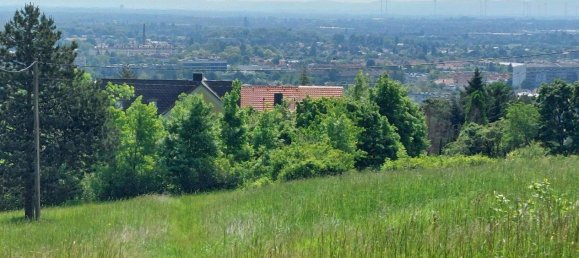 3-Zimmer Haus in Baden, Austria, Nr. 244670 2