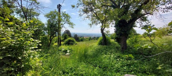 3-Zimmer Haus in Baden, Austria, Nr. 244670 5