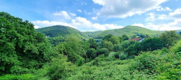 748m² Land in Kaltenleutgeben, Austria No. 149981 2