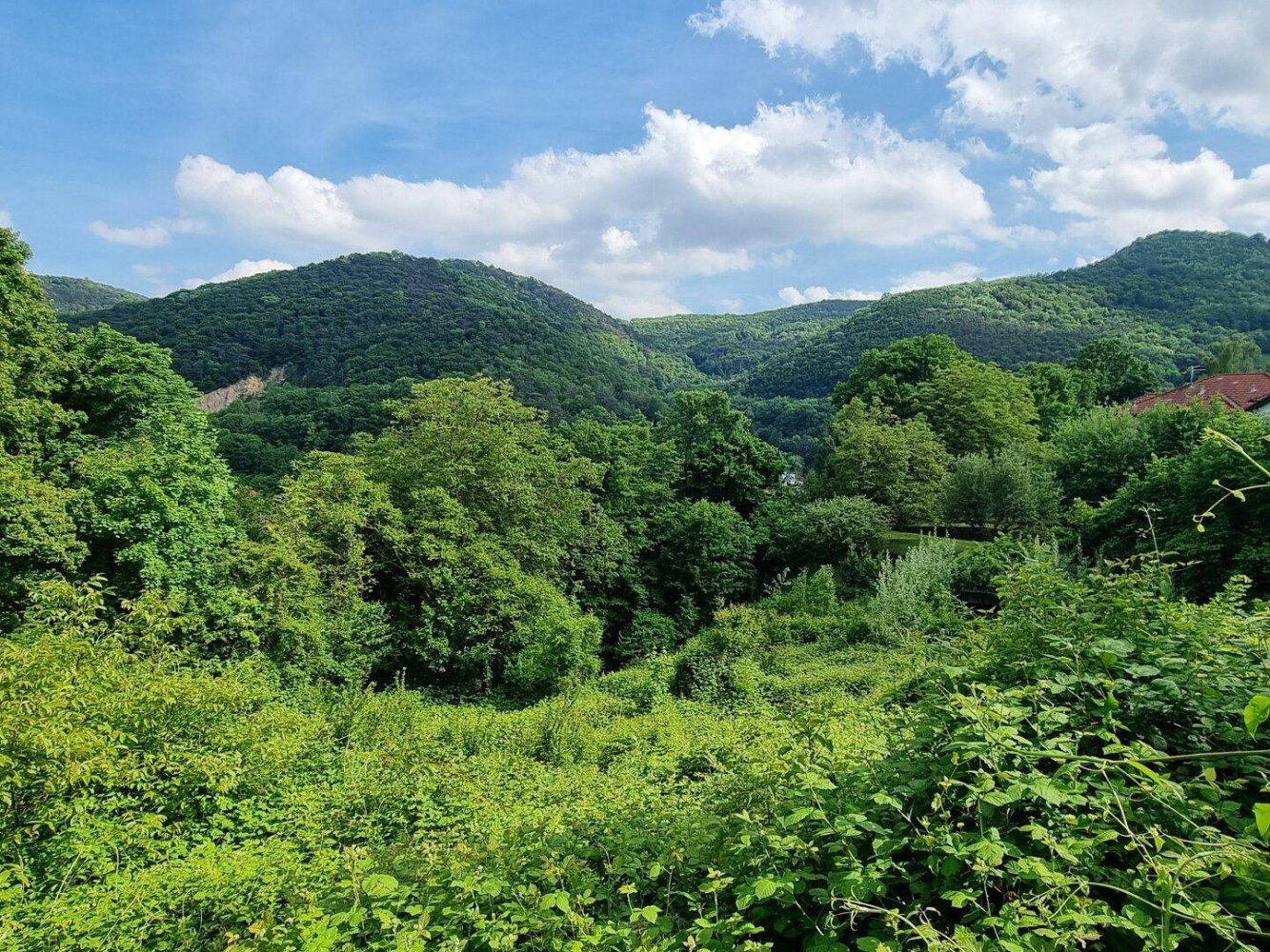 Terrain à Kaltenleutgeben, Austria 748m² No. 149981