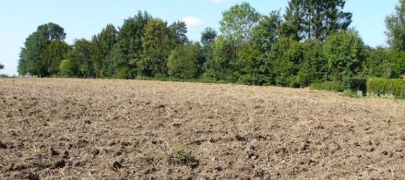  قطعة أرض في Pas-de-Calais, France 4577متر مربع رقم 311065 3