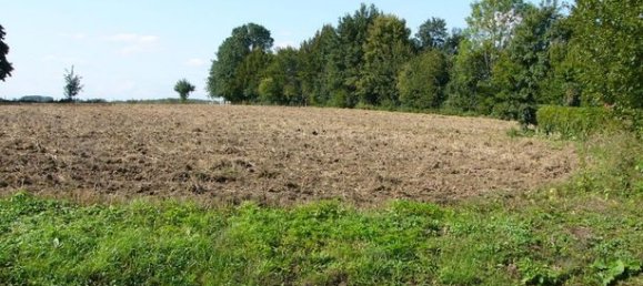  قطعة أرض في Pas-de-Calais, France 4577متر مربع رقم 311065 2