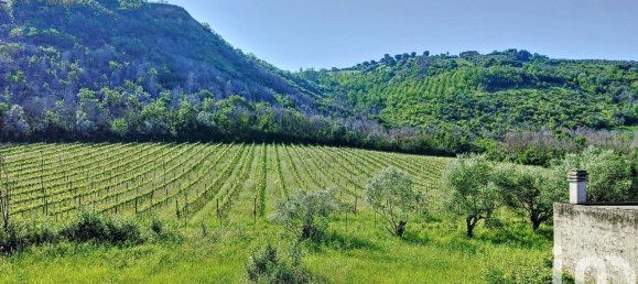 10غرفة منزل في Controguerra, Italy رقم 143342 9