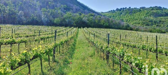 10غرفة منزل في Controguerra, Italy رقم 143342 14