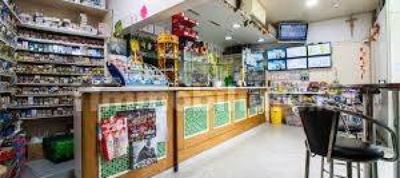 2 rooms Commercial property in Albissola Marina, Italy No. 189157 18