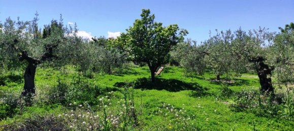 4 Schlafzimmer Haus in Cocentaina, Spain, Nr. 153663 22
