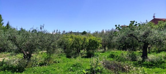 4 Schlafzimmer Haus in Cocentaina, Spain, Nr. 153663 23