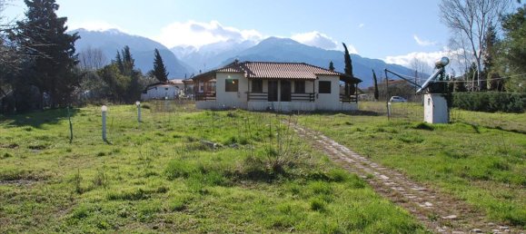 Hotel en Litochoro, Greece 4586 m² No. 7320 6