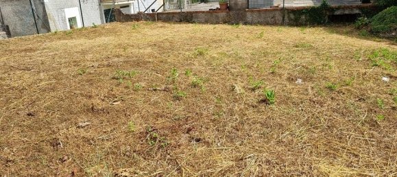 2 chambres Maison à Licciana Nardi, Italy No. 184690 14