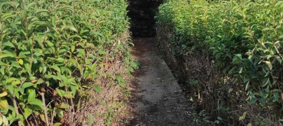 5 bedrooms Commercial property in Epanomi, Greece No. 3033 29