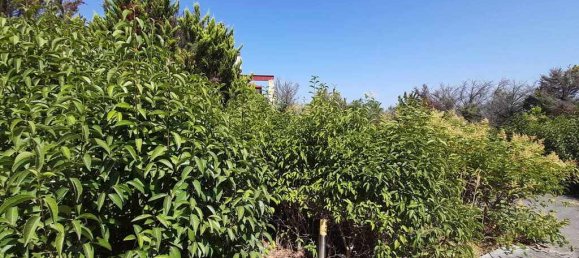 5 bedrooms Commercial property in Epanomi, Greece No. 3033 28