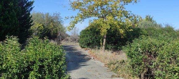 5 bedrooms Commercial property in Epanomi, Greece No. 3033 30