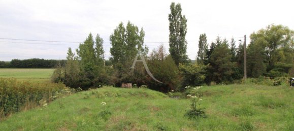 1232m² Land in Loir-et-Cher, France No. 82377 4