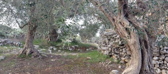 3-salle Maison à Specchia, Italy No. 161207 10