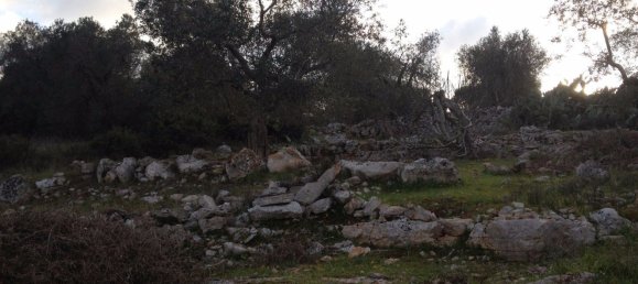 3-salle Maison à Specchia, Italy No. 161207 7