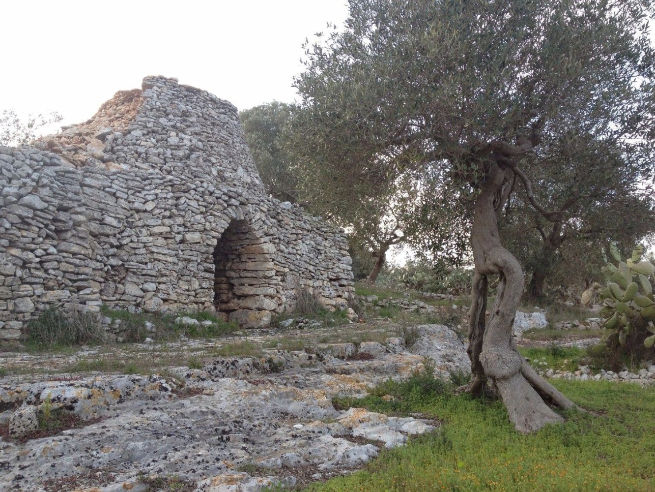 3-salle Maison à Specchia, Italy No. 161207