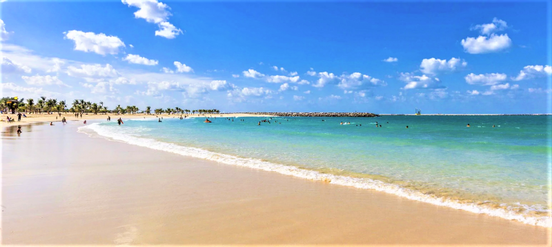 Grundstück in Dubai, UAE 2307.1m², Nr. 10452