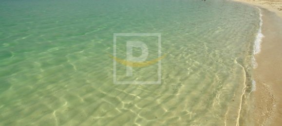 Grundstück in Dubai, UAE 2307.1m², Nr. 10452 13