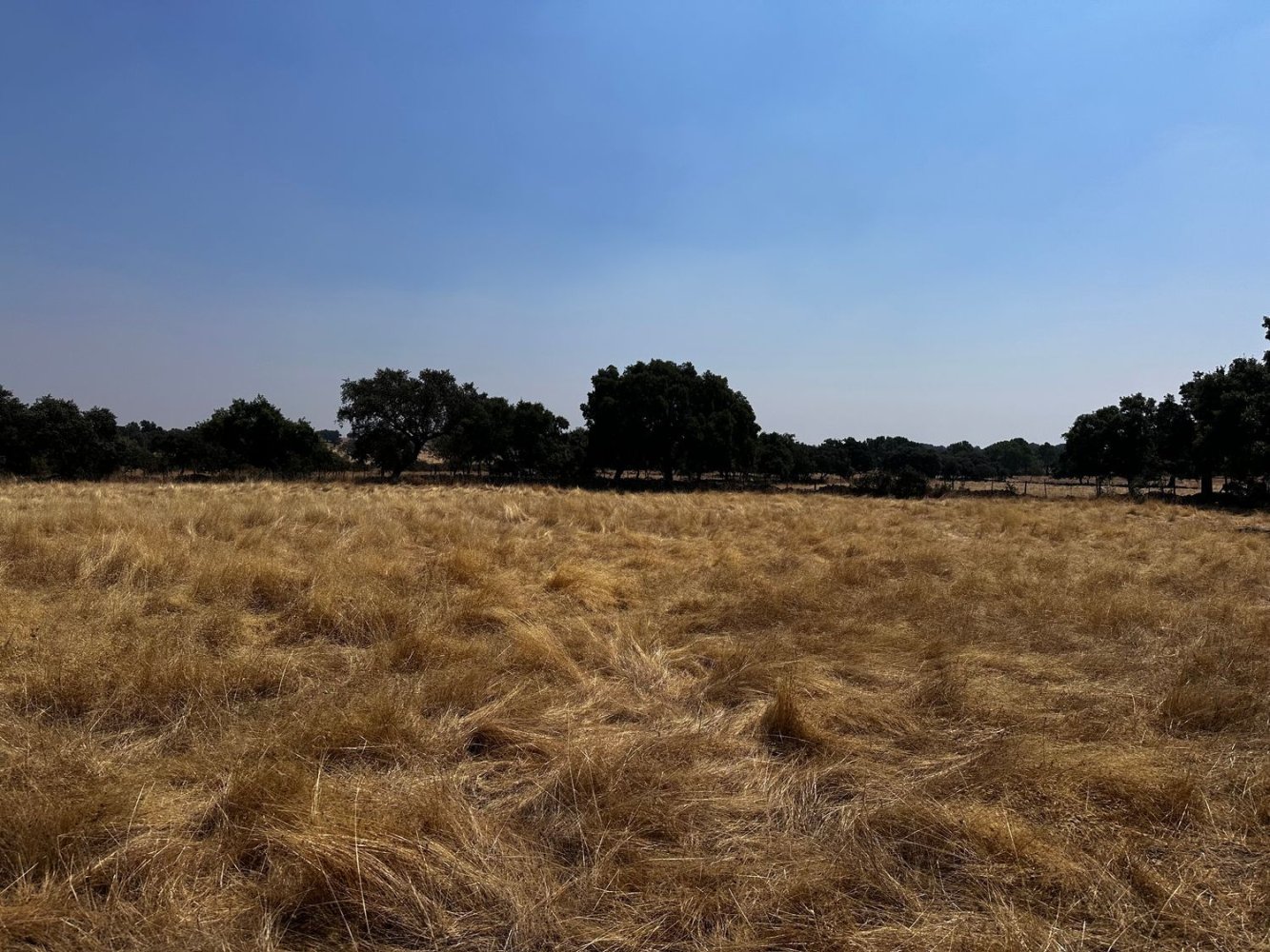  Land in Idanha a Nova, Portugal No. 297444