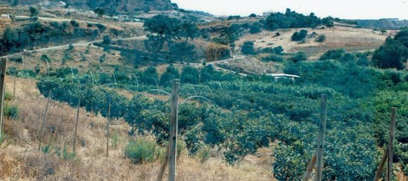  Land in Estepona, Spain No. 150132 3