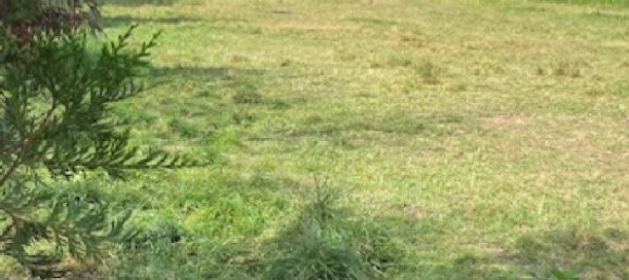 822m² Land in Moncel-sur-Seille, France No. 75032 3