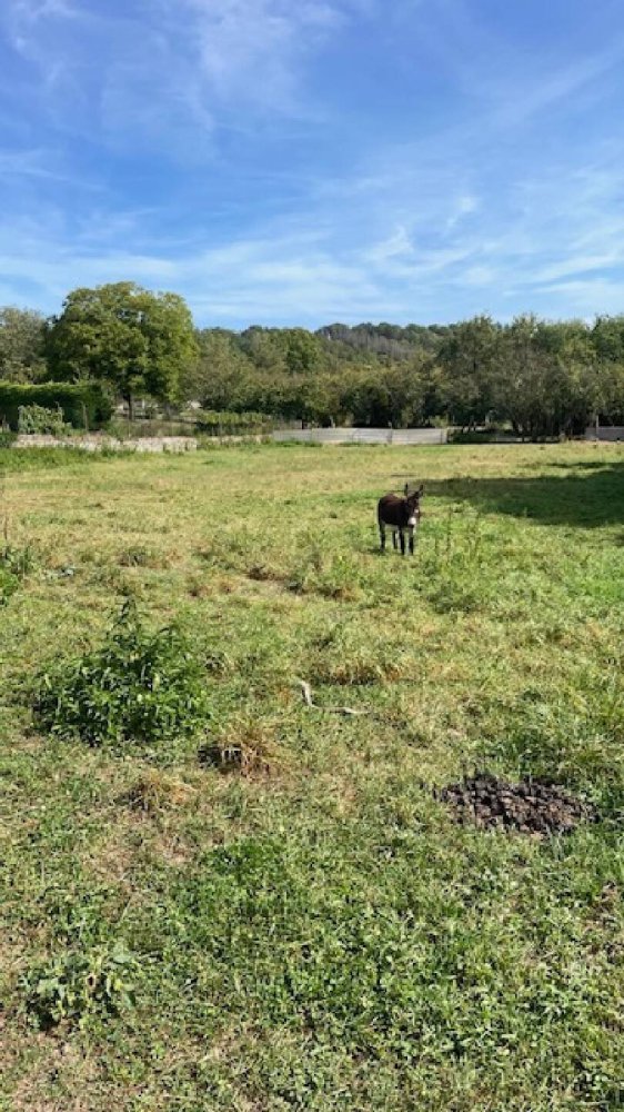 822m² Land in Moncel-sur-Seille, France No. 75032