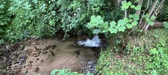 Земельный участок 2380м² в Кальв, Германия № 275816 3