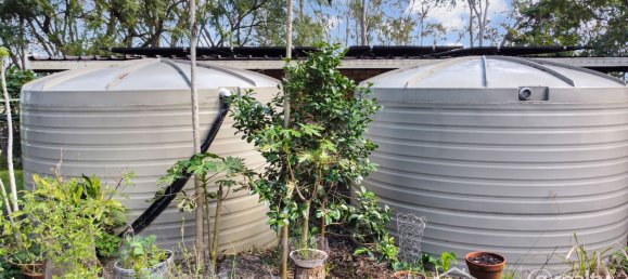 5 Schlafzimmer Haus in Kyogle, Australia, Nr. 452 28