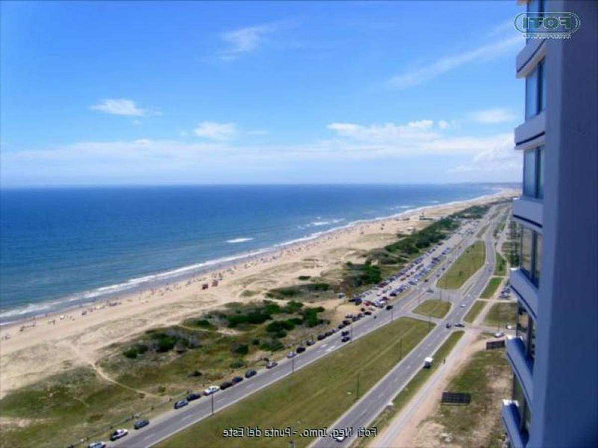3 bedrooms Apartment in Punta del Este, Uruguay No. 1304