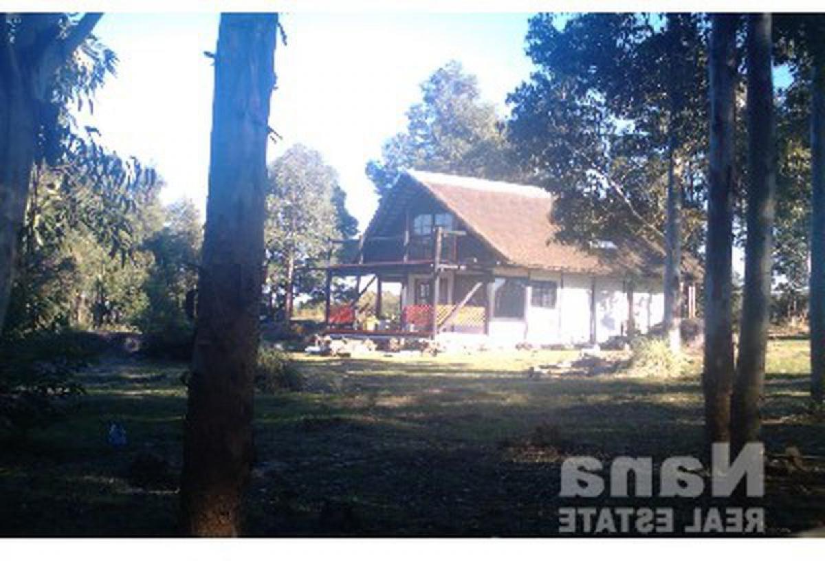  Farm in Maldonado, Uruguay No. 14037