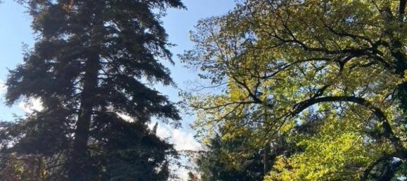  Land in Baden, Austria No. 192078 4