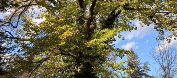  Land in Baden, Austria No. 192078 3