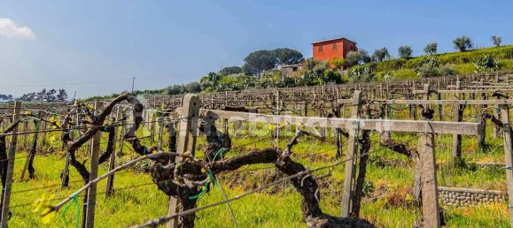 3 Schlafzimmer Haus in Frascati, Italy, Nr. 294678 7