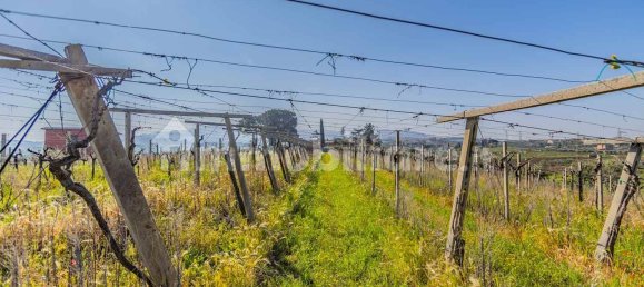 3 Schlafzimmer Haus in Frascati, Italy, Nr. 294678 38