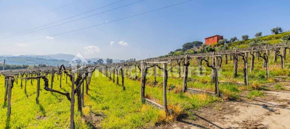 3 Schlafzimmer Haus in Frascati, Italy, Nr. 294678 11