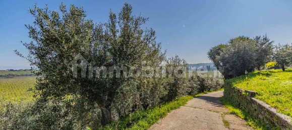 3 Schlafzimmer Haus in Frascati, Italy, Nr. 294678 29