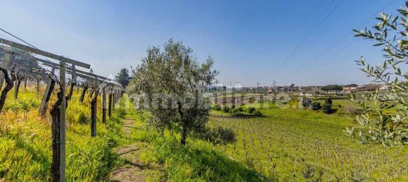 3 Schlafzimmer Haus in Frascati, Italy, Nr. 294678 34