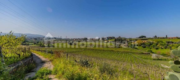 3 Schlafzimmer Haus in Frascati, Italy, Nr. 294678 16