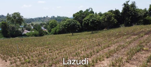  Commercial property in Chiang Rai, Thailand No. 16831 7