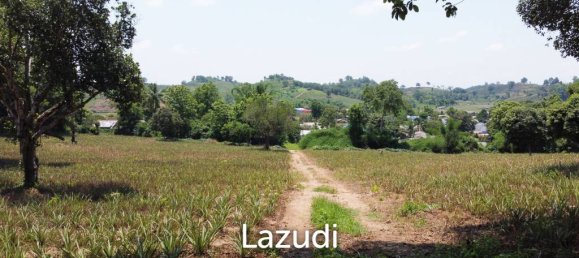  Commercial property in Chiang Rai, Thailand No. 16831 5