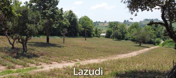  Commercial property in Chiang Rai, Thailand No. 16831 6