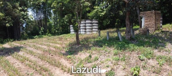  Commercial property in Chiang Rai, Thailand No. 16831 8